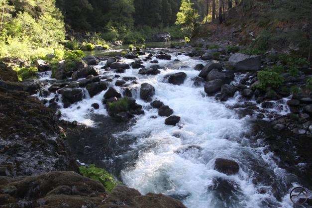 Cascades, McCloud River - May2014 020 (Custom)