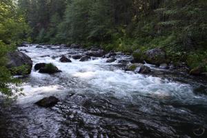 Cascades, McCloud River - May2014 041 (Custom)