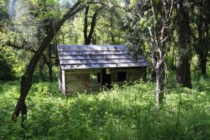 Cascades, McCloud River - May2014 046 (Custom)