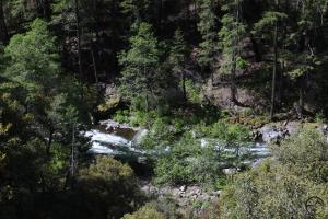 Cascades, McCloud River - May2014 057  (Custom)
