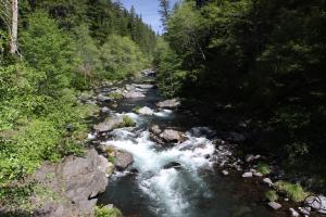Cascades, McCloud River - May2014 062 (Custom)