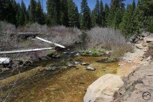 Cascades, McCloud River - April2014 052 copy (Custom)