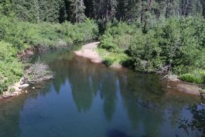 Cascades, McCloud River - June2014 005 copy (Custom)