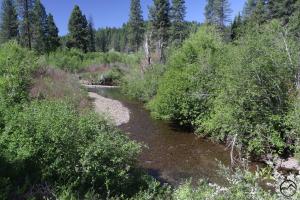 Cascades, McCloud River - June2014 008 copy (Custom)