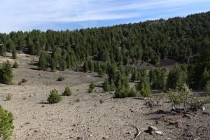 Cascades, Goosenest - June2014 085 (Custom)