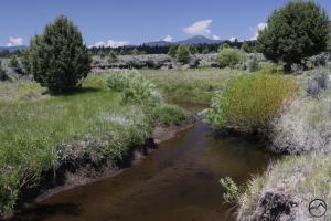 Cascades, Orr Lake - June2014 035 (Custom)