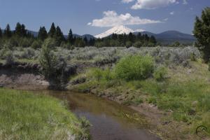 Cascades, Orr Lake - June2014 042 (Custom)