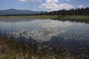 Cascades, Orr Lake - June2014 061 (Custom)
