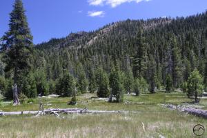 Trinity Divide, Fawn Creek Canyon - June2014 026 (Custom)