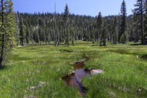 Trinity Divide, Fawn Creek Canyon - June2014 052 (Custom)
