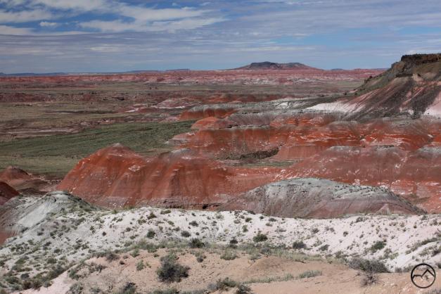 Arizona, Petrified Forest - Oct2014 119 copy (Custom)