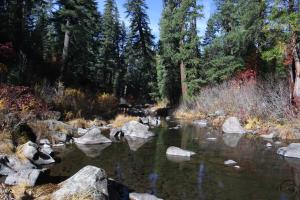 Hiking alongside the McCloud River