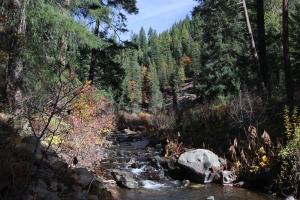 Cascades, McCloud River - Nov2014 019 copy (Custom)