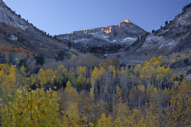 The sun lights the summit of Mount Fitzgerald in the Ruby Mountain.