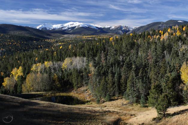 Wheeler Peak, the highest point in New Mexico.