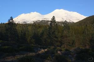 Mount Shasta towers above the Gateway Trail
