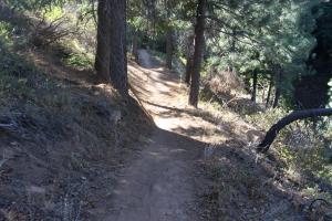 The Gateway Trail winds through the woods