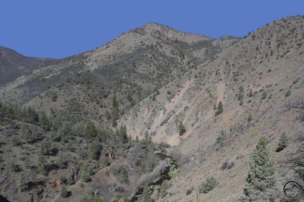 Klamath Mountains, Shasta River - April2014 002 copy (Custom)