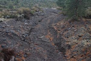 Shasta Valley (5) (Custom)