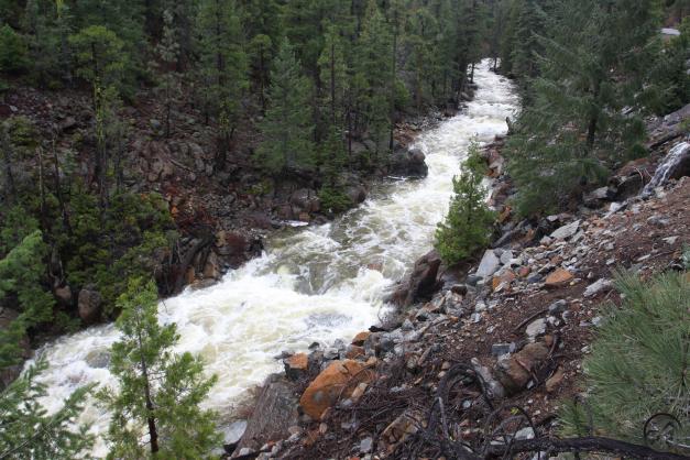 Trinity Divide, Sacramento River - Dec2014 030 copy (Custom)