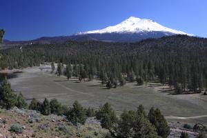 Mount Shasta rises beyond the dry meadow area