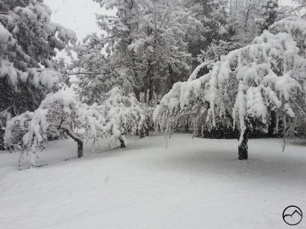 Snow in Mount Shasta!