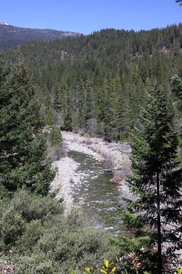 The Sacramento River, just upstream from the former split.