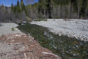 LakeSiskiyouInlet (3)