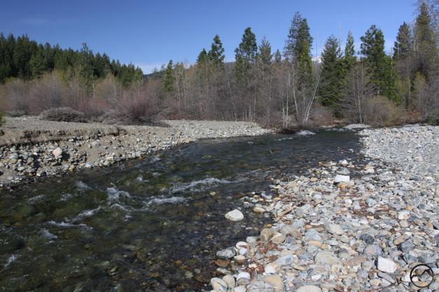 A surging Sacramento River flows past the former site of the seasonal bridge. 