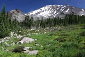 Cascades, Mt Shasta, Panther Meadow - June2015 018_edited-1 (Custom)