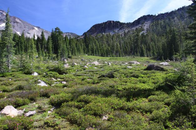 Cascades, Mt Shasta, Panther Meadow - June2015 026_edited-1 (Custom)