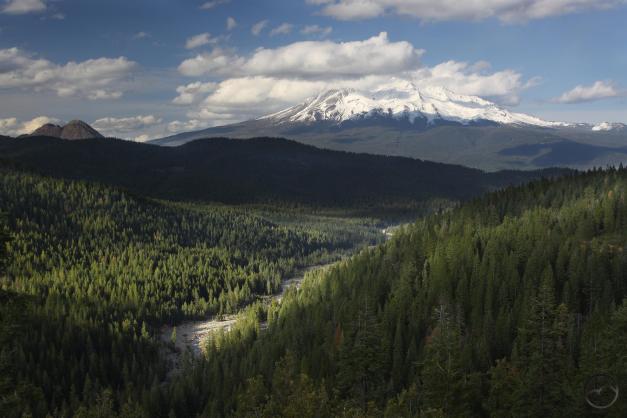 Mighty Mount Shasta towers above the newly constituted Sacramento River. 
