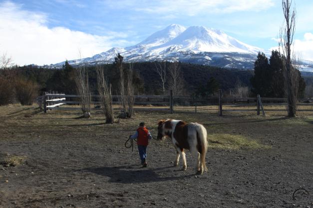 My son walks his pony after his riding lesson during a break in the storms.