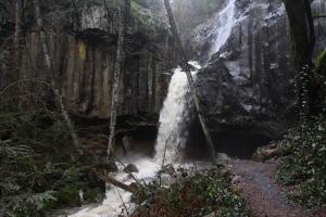 Trinity Divide, Sacramento River - Jan2016 015 (Custom)