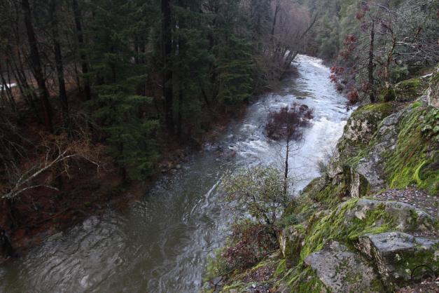 Trinity Divide, Sacramento River - Jan2016 023 (Custom)