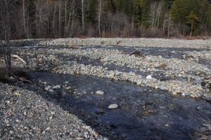The river divides into many streams.