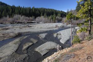 The Lake Siskiyou Trail crosses the Sacramento River just above the inlet.