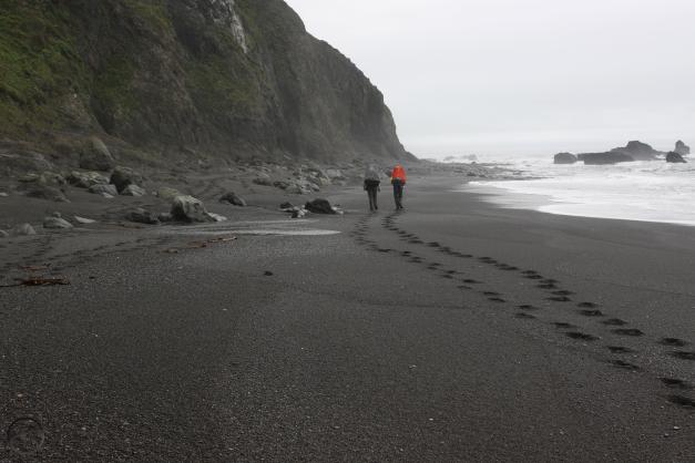 LostCoast - March2016 035 (Custom)