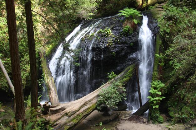 Coast Range North, Russian Gulch - April2016 018 (Custom)