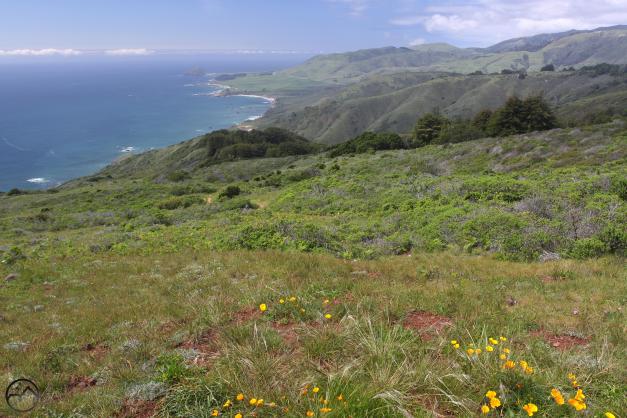 Coast Range South, Andrew Molera - April2016 051 (Custom)