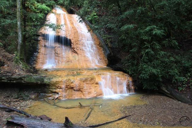 Coast Range South, Big Basin - April2016 036 (Custom)
