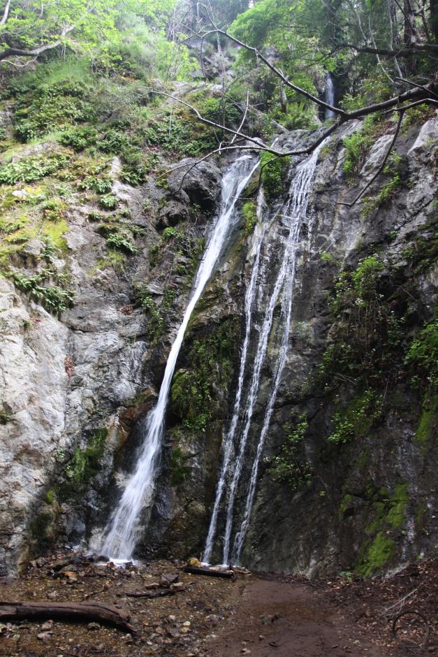 Coast Range South, Ewoldsen - April2016 011 (Custom)