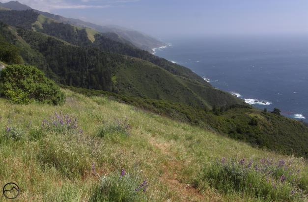 Coast Range South, Ewoldsen - April2016 072 (Custom)