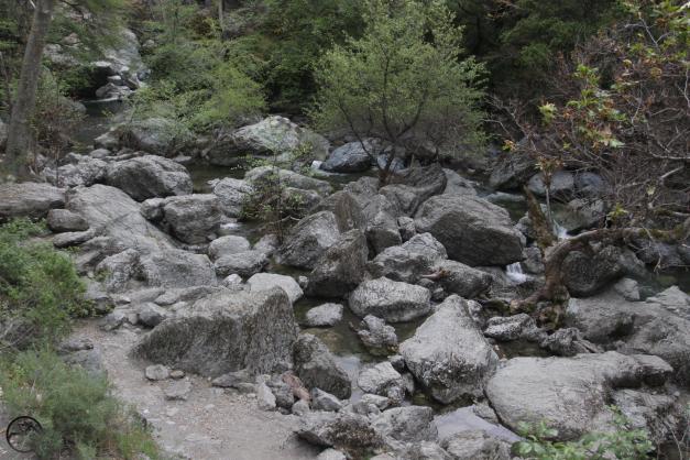 Coast Range South, Sunol Wilderness - April2016 085 (Custom)