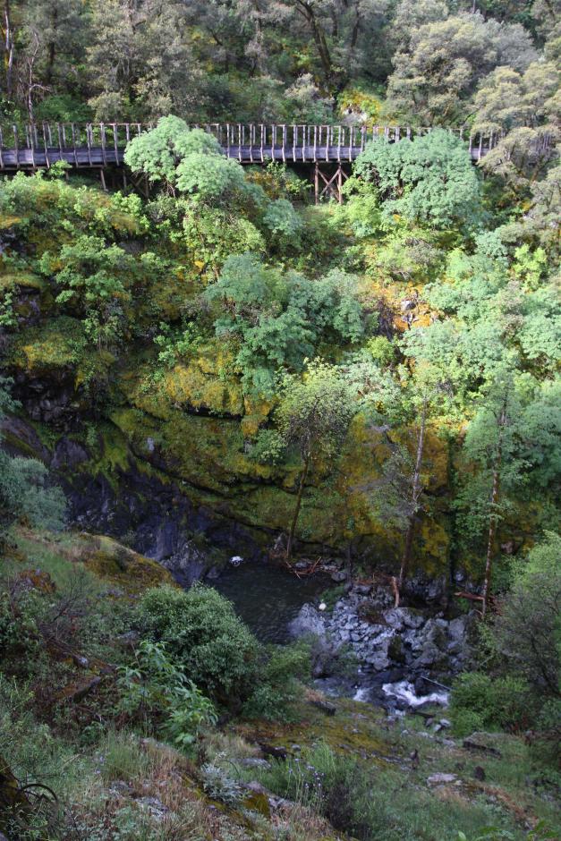 Sierra Nevada, Yuba River - April2016 011 (Custom)