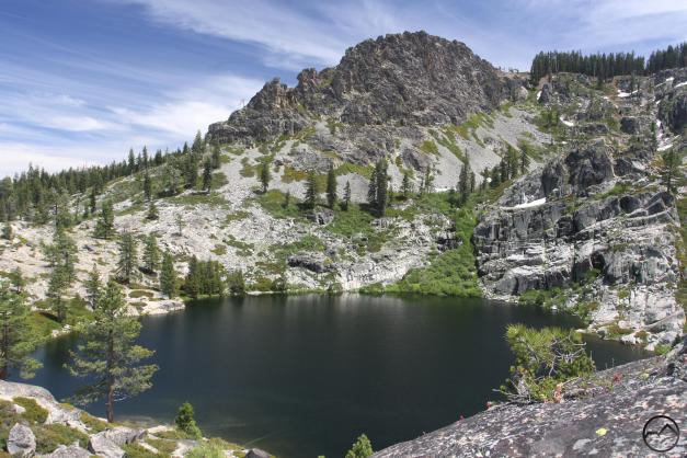 Sierra Nevada North, Bucks Lake Wilderness - June2016 102 copy (Custom)