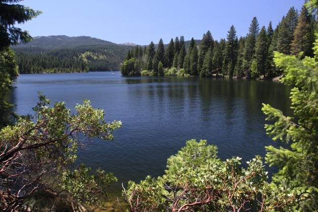 Trinity Divide, Lake Siskiyou - June2016 018  (Custom)