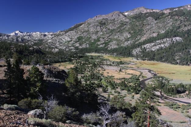 Sierra Nevada, July2016 448 (Custom)