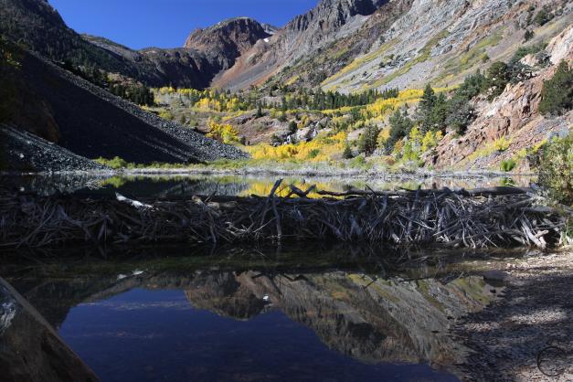 sierra-nevada-south-hoover-wilderness-oct2016-141-custom