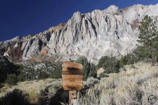 wilderness-21-custom